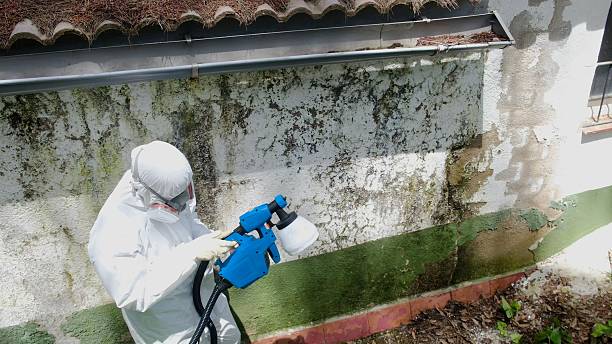 Trusted Mold Inspection service in Morganville, NJ - Cheap Mold Removal